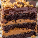 Heavenly Chocolate Peanut Butter Ooey Gooey Cake Recipe