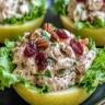 Chicken Pecan Cranberry Salad Recipe - Delicious Healthy Snack