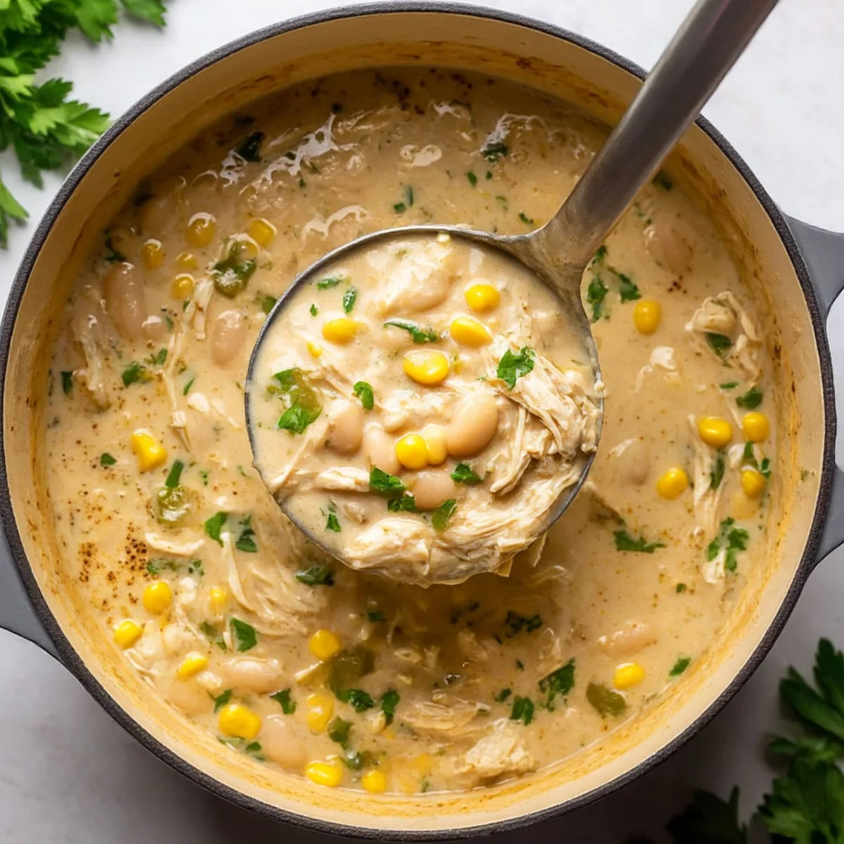 Single serving of white chili with creamy swirl and cilantro
