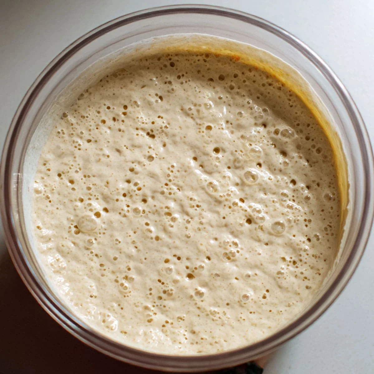 Sourdough Bread starter active and bubbly ready for baking